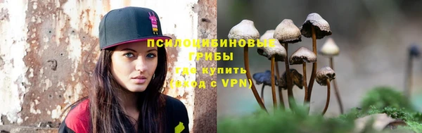 прущие крисы Армянск