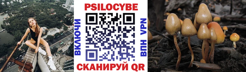 Галлюциногенные грибы мухоморы  сколько стоит  Пошехонье 