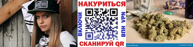 цена наркотик  Пошехонье  Конопля сатива 